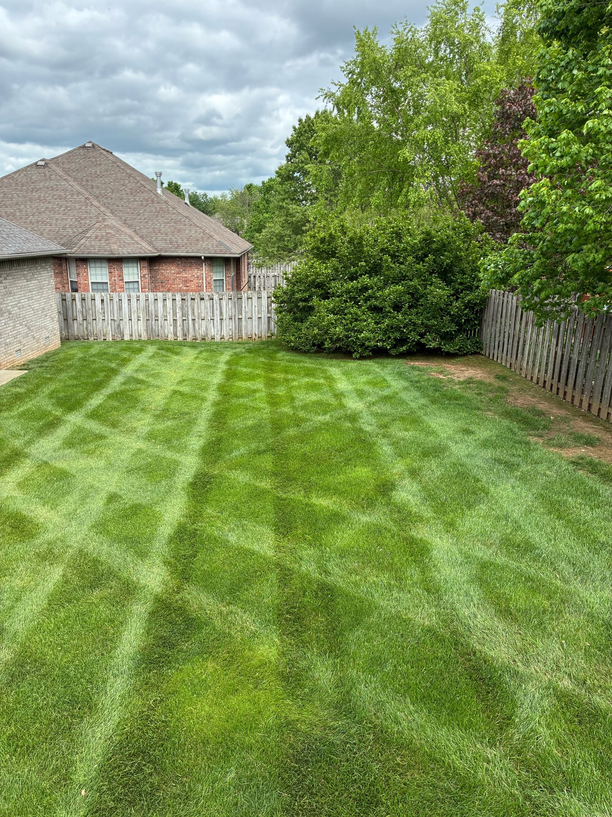 Residential backyard with a diamond-pattern cross-hatch cut beside a brick house and wooden fence.